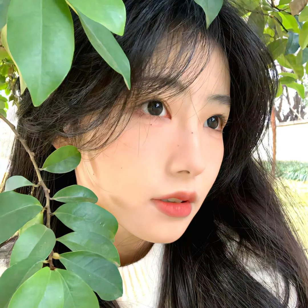 恋与偶像第二季