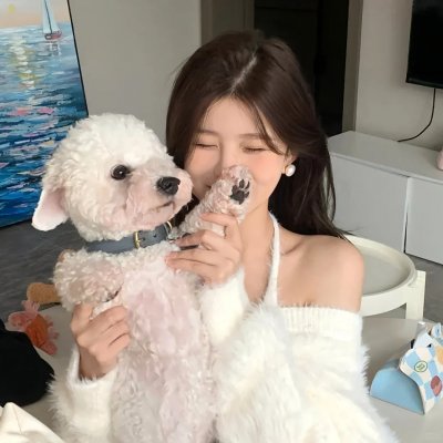 小小的家